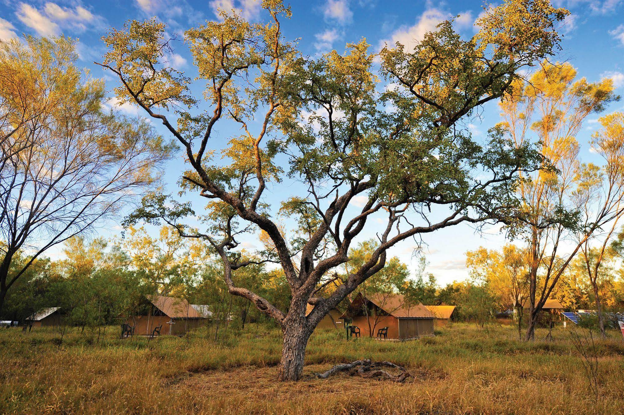 Bungle Bungle Wilderness Lodge Turkey Creek Exterior foto